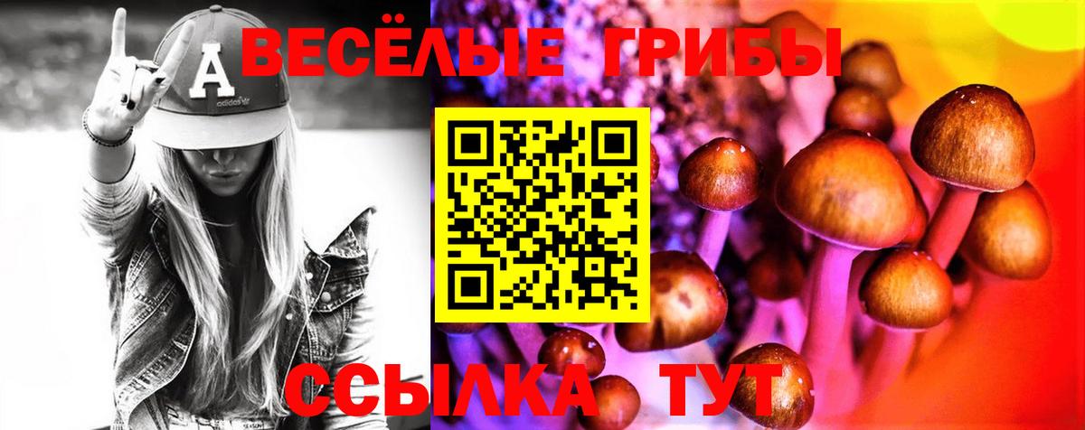 Псилоцибиновые грибы Cubensis  Вход с VPN  Бор 