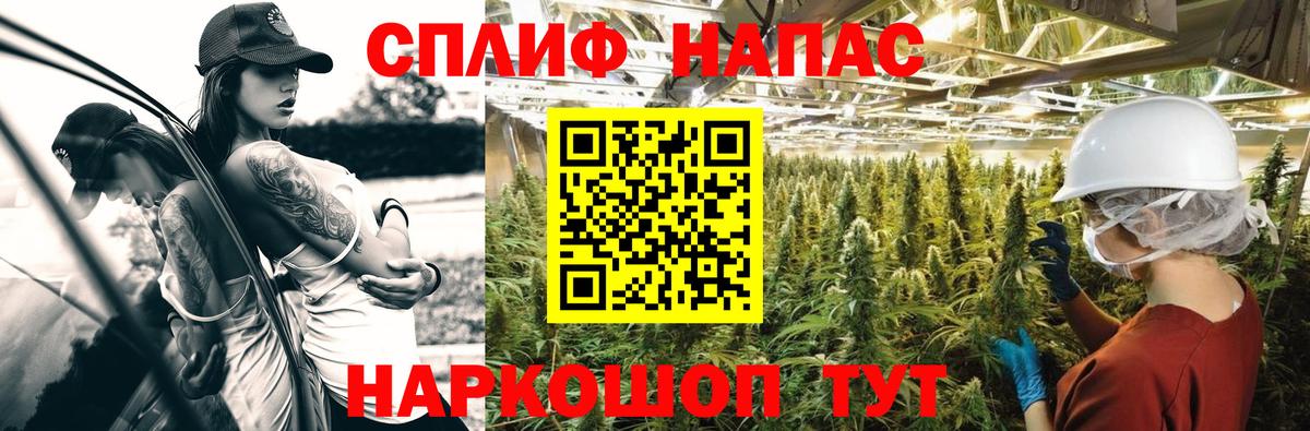 Бор  Марихуана сатива  Каннабис гибрид  Канабис SATIVA & INDICA  Вход с VPN 